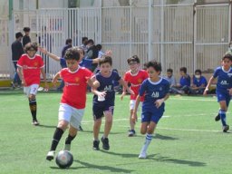 MIS Sports